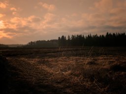 IMGP3839_Morgenstemning